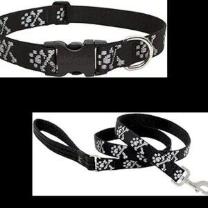 Lupine bundle collar and leash 3/4" in Bling Bonz pattern